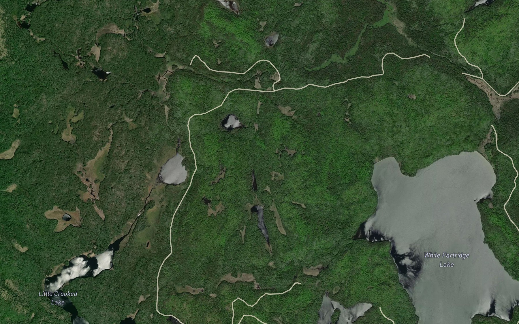Satellite map of the Wonassay Creek