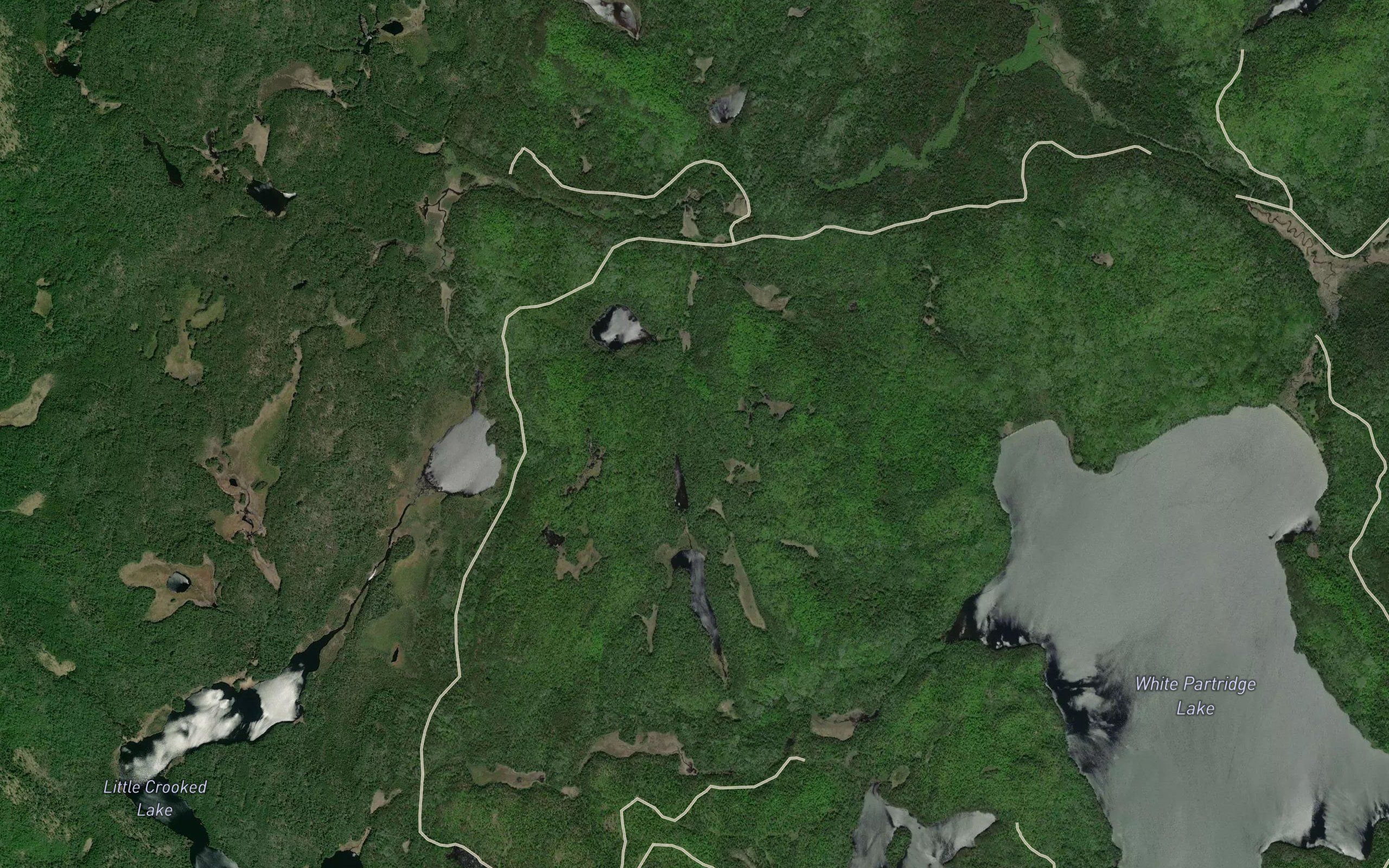 Wonassay Creek