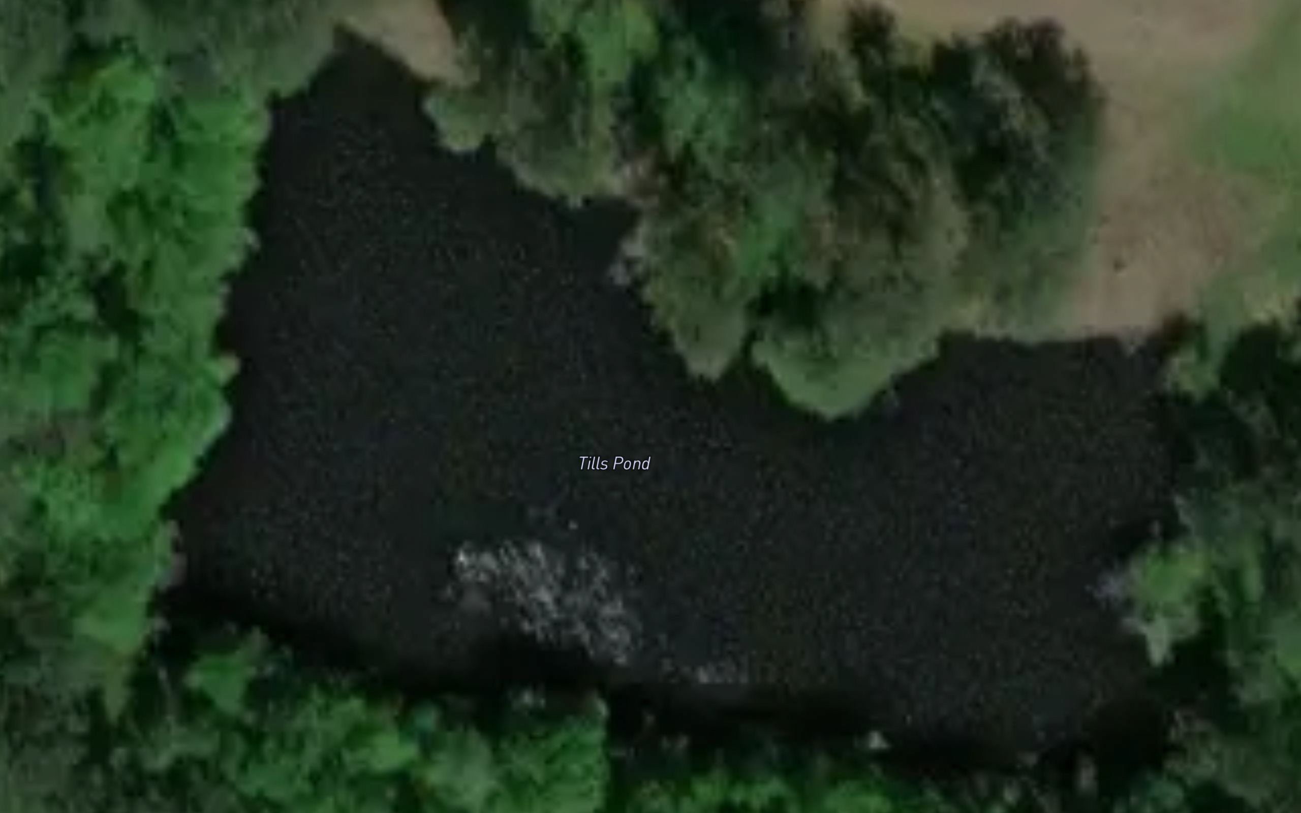 Tills Pond