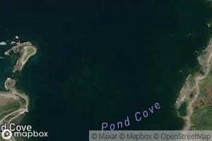 Pond Cove