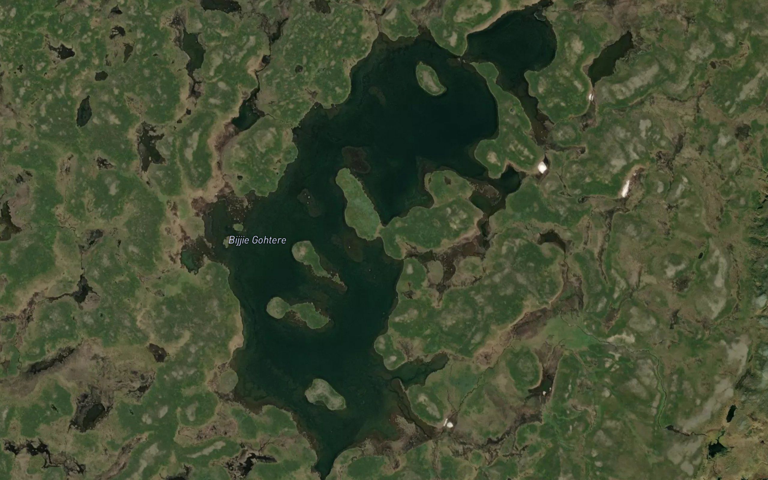 Dolltjarn