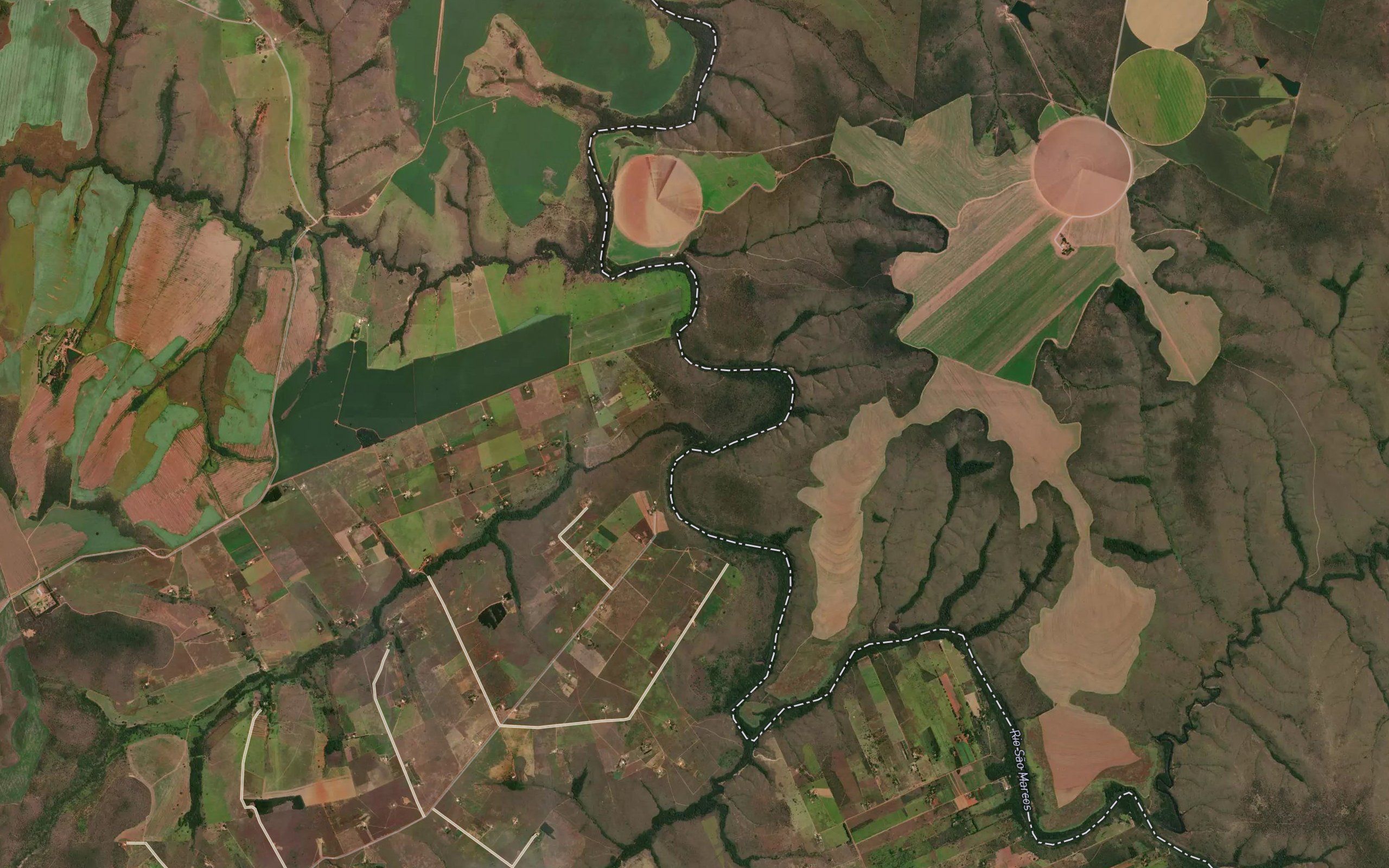 Vereda Gravata