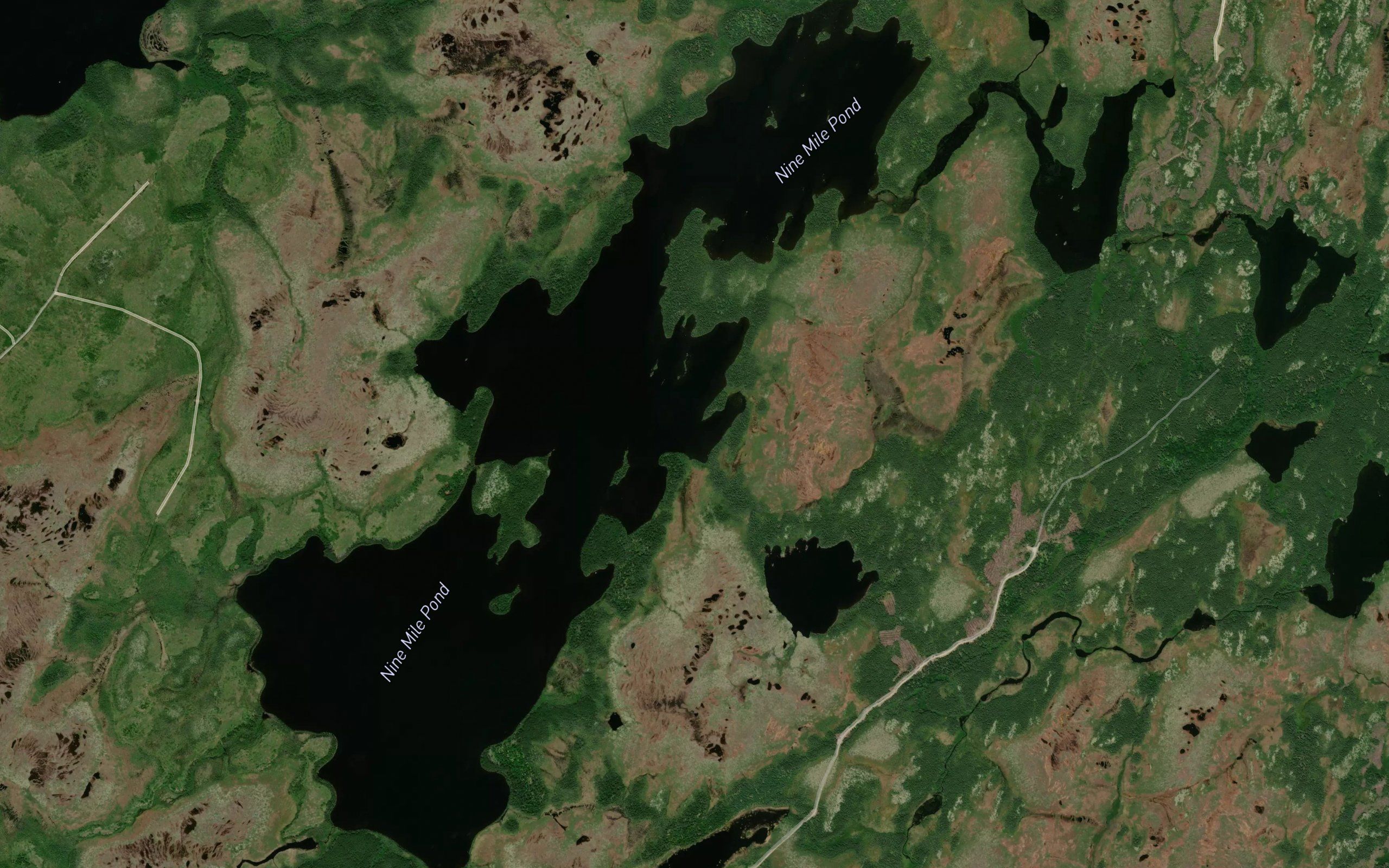Harvey Pond