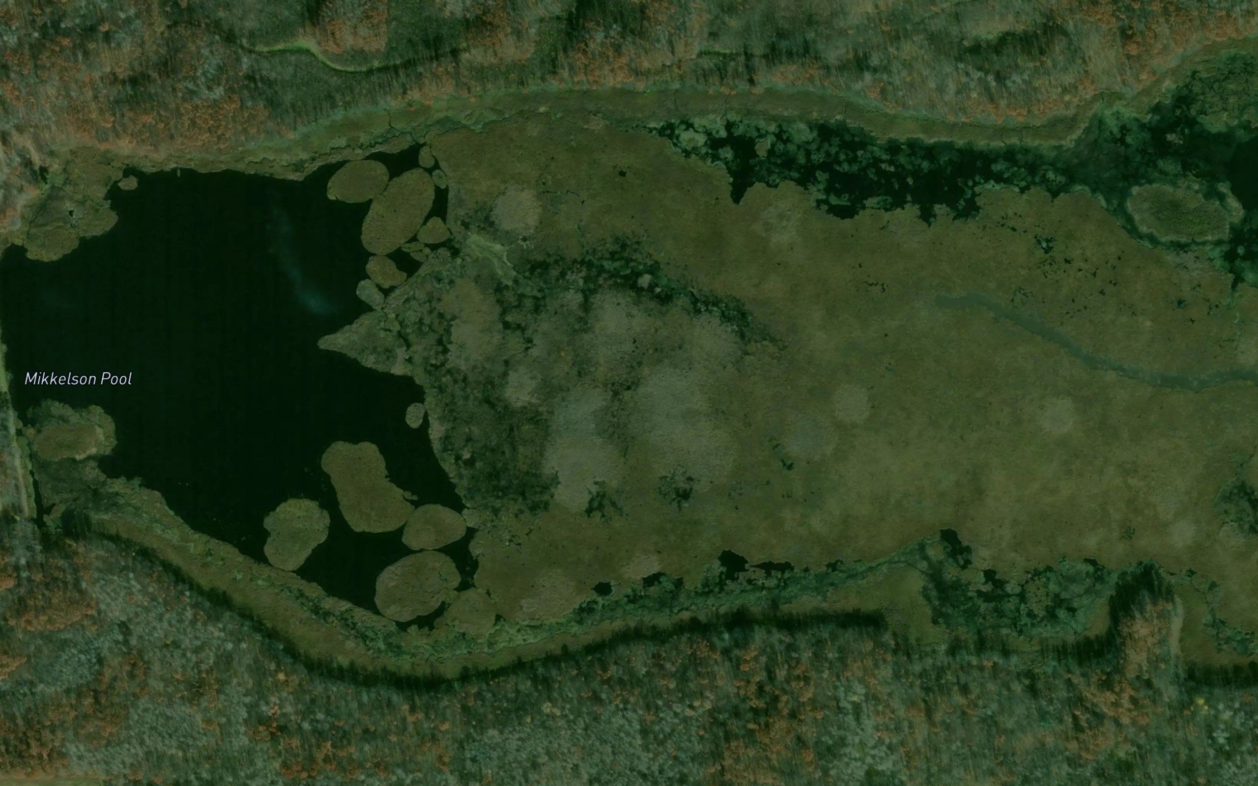 Mikkelson Pool