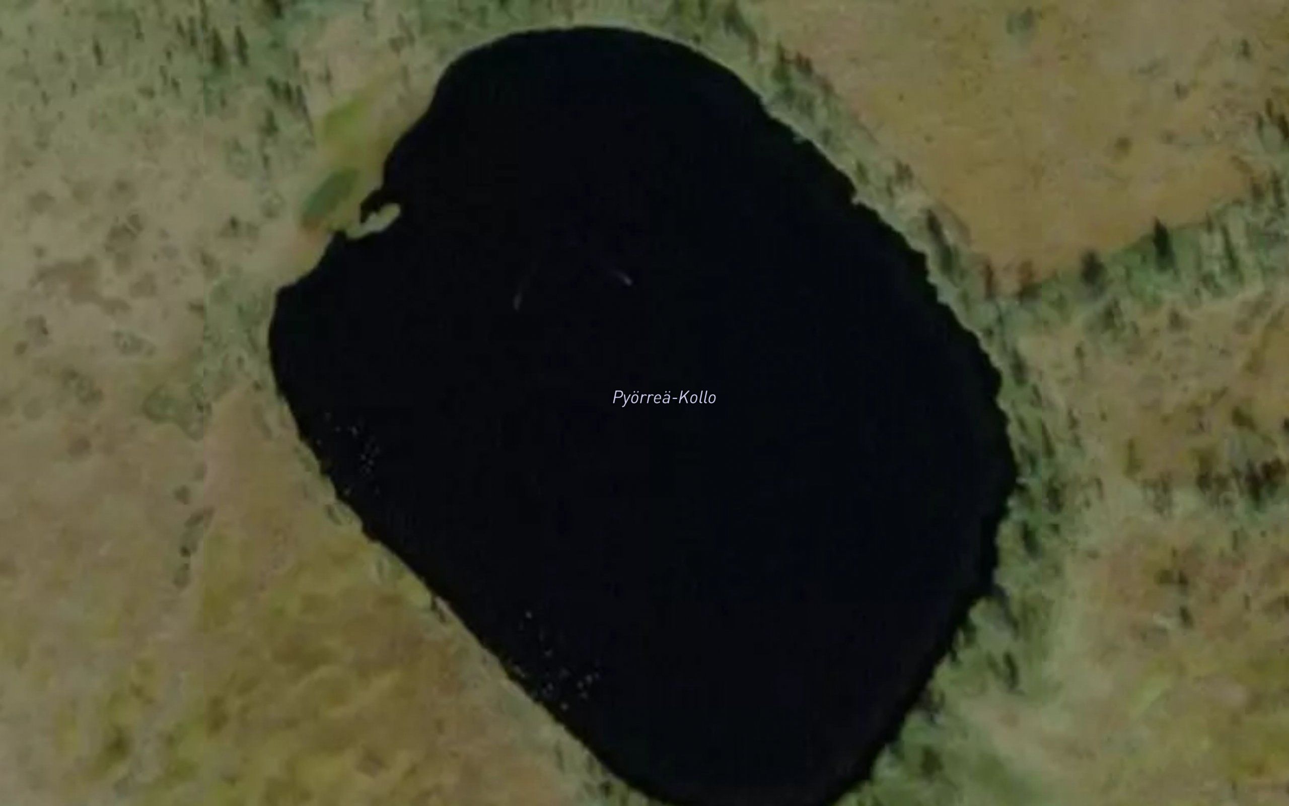 Pyorea-Kollo