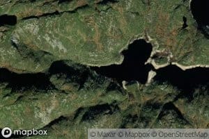 Kvitjorn