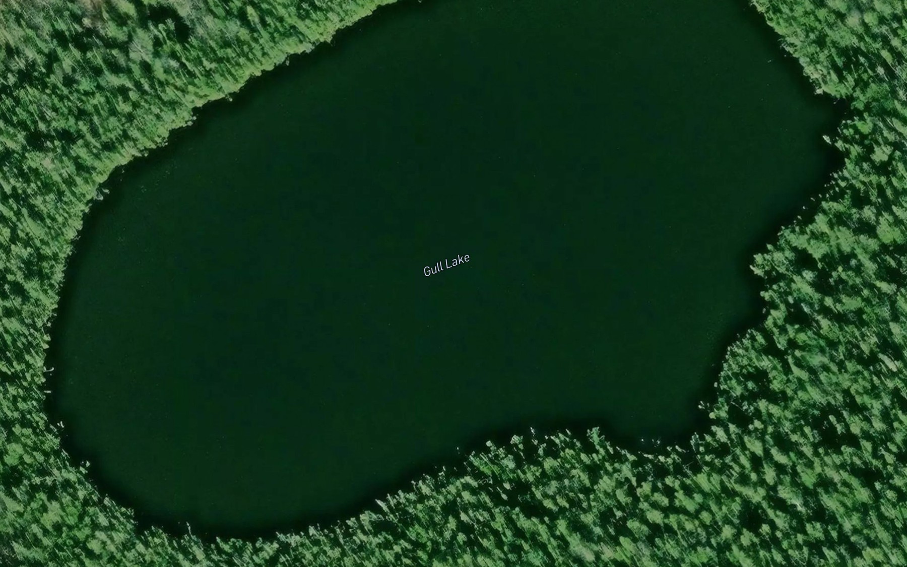 Satellite map of the Gull Lake