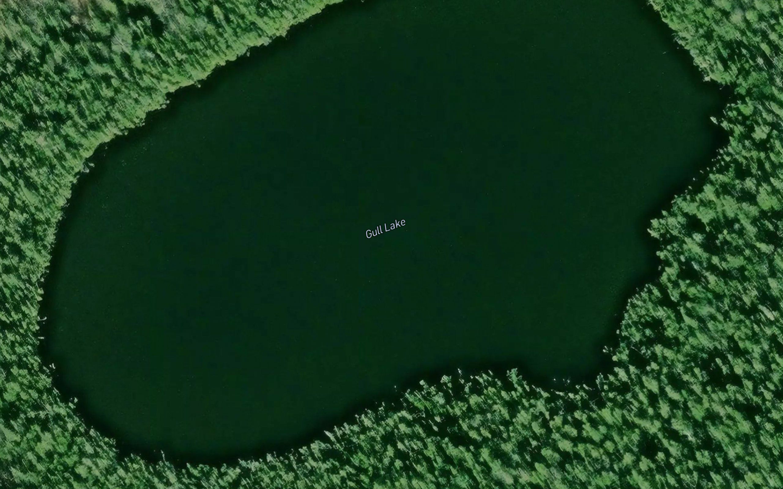 Gull Lake