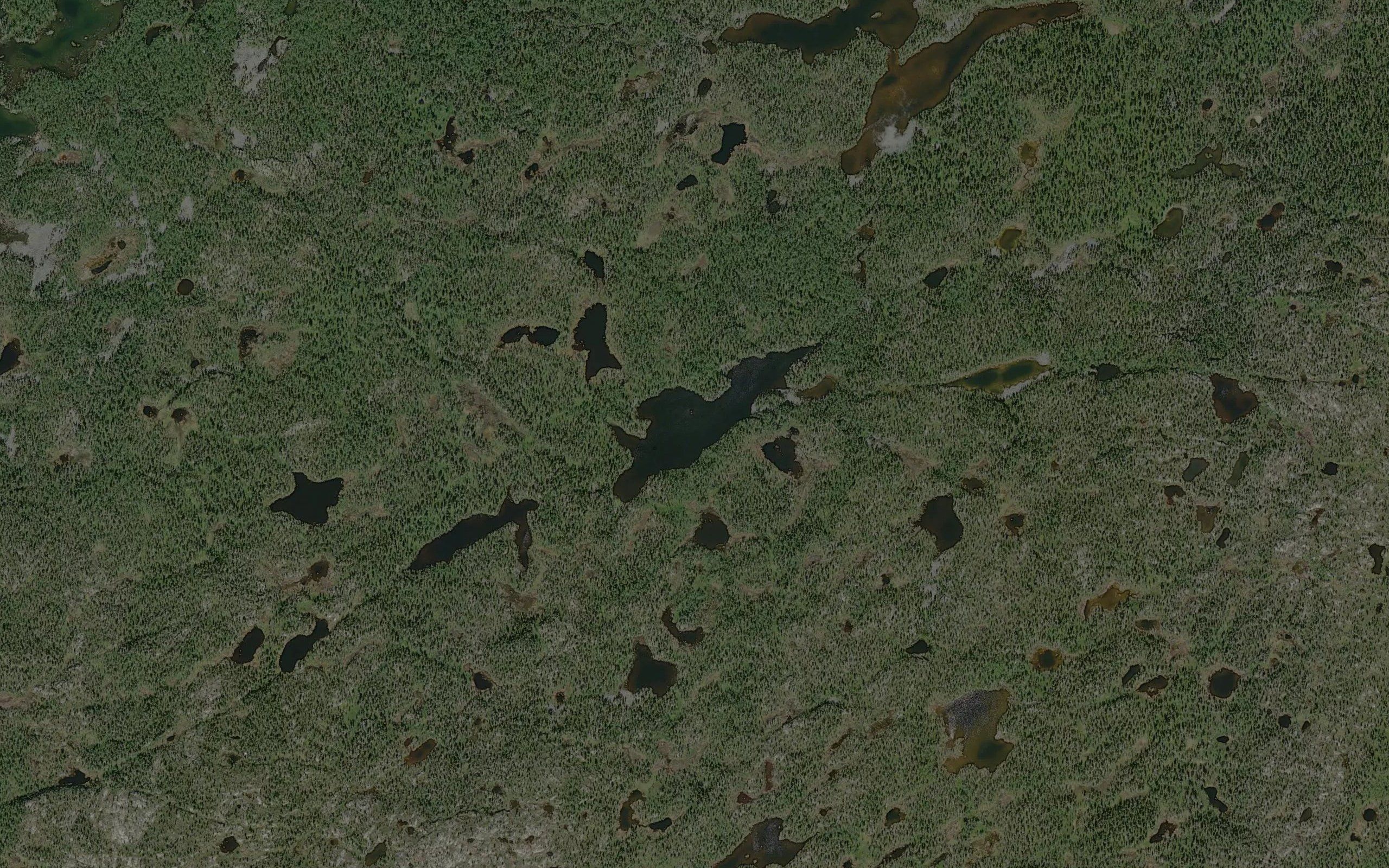 Havggajavri