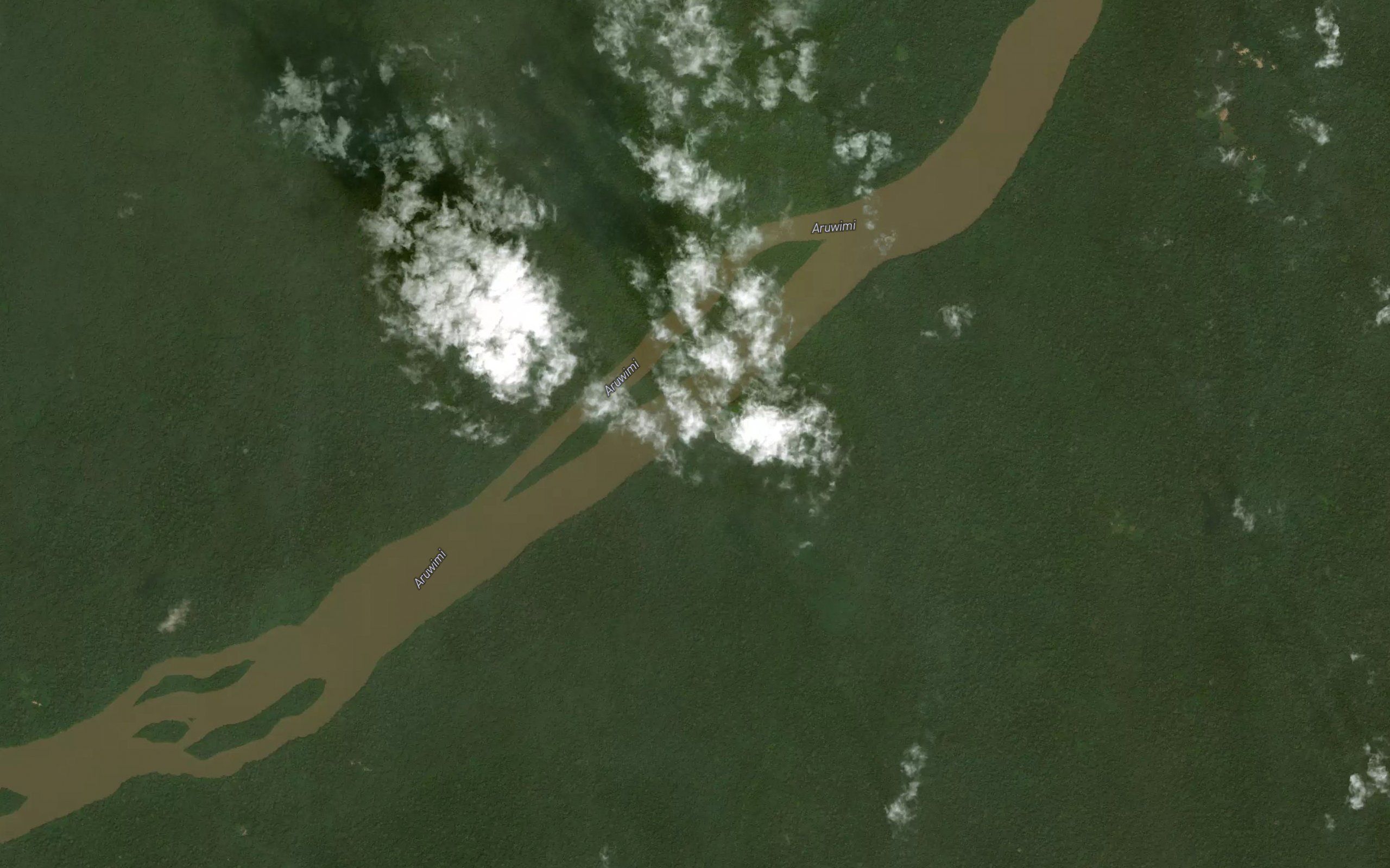 Lubula