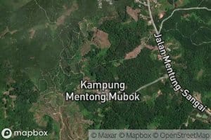 Sungai Menyekang