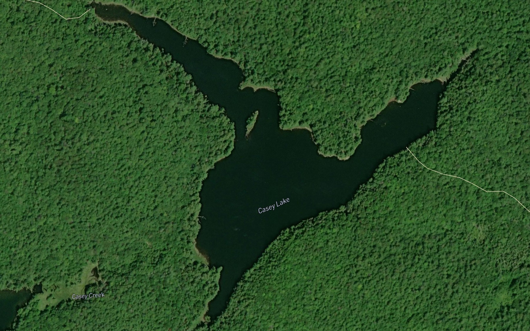Satellite map of the Casey Lake