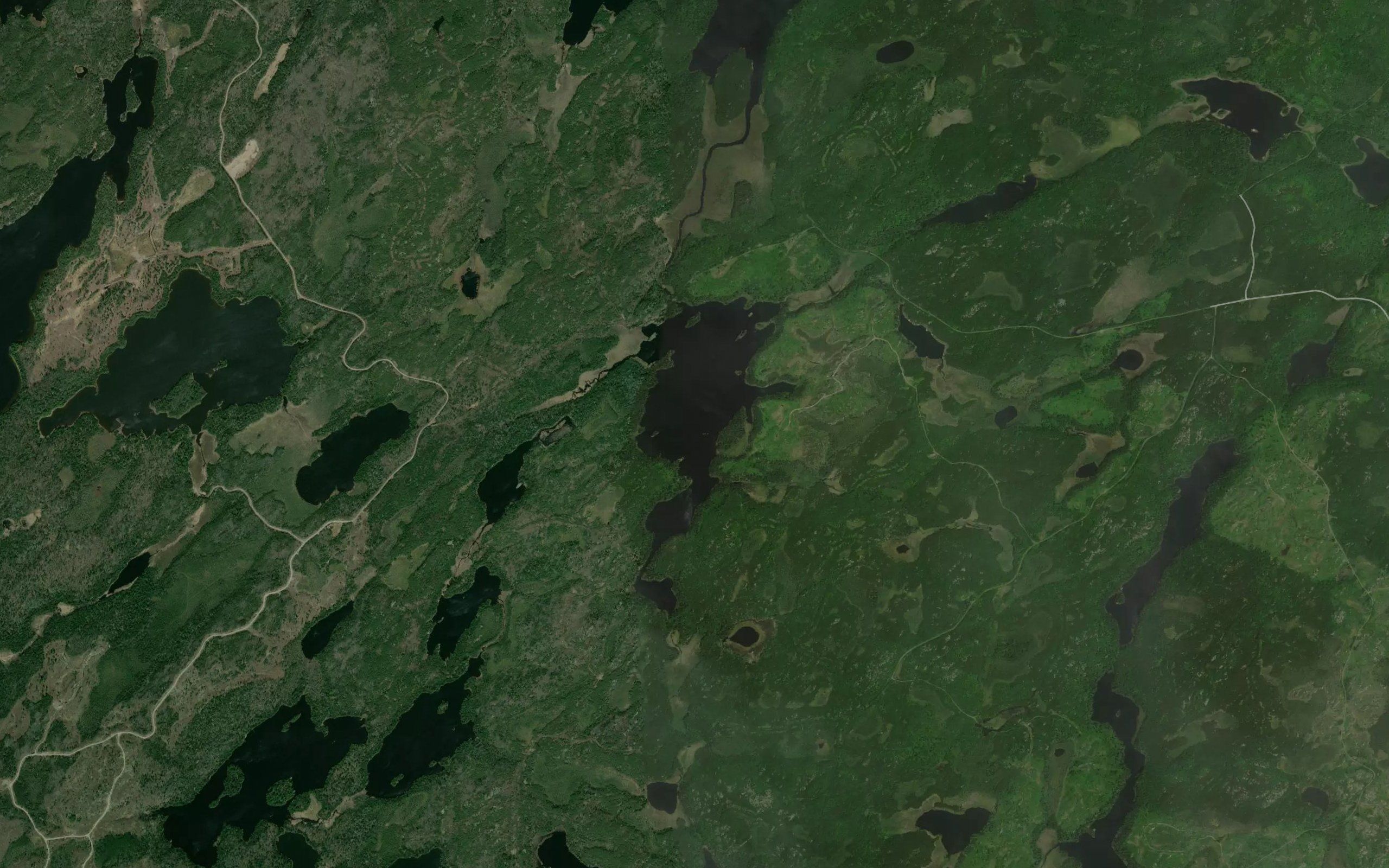 Wolfe Lake