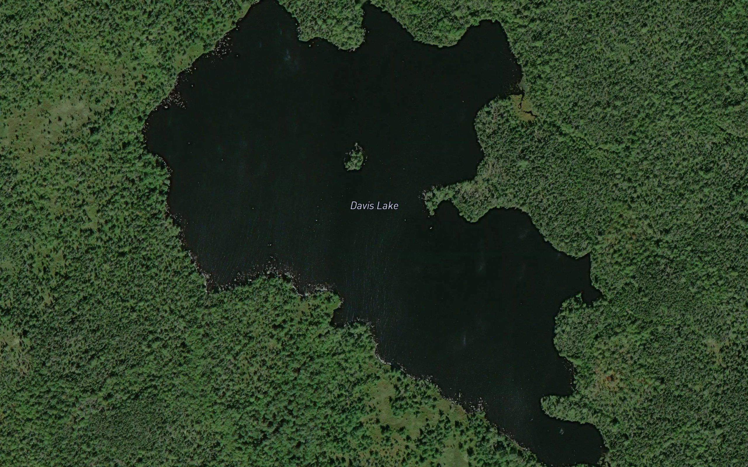 Davis Lake