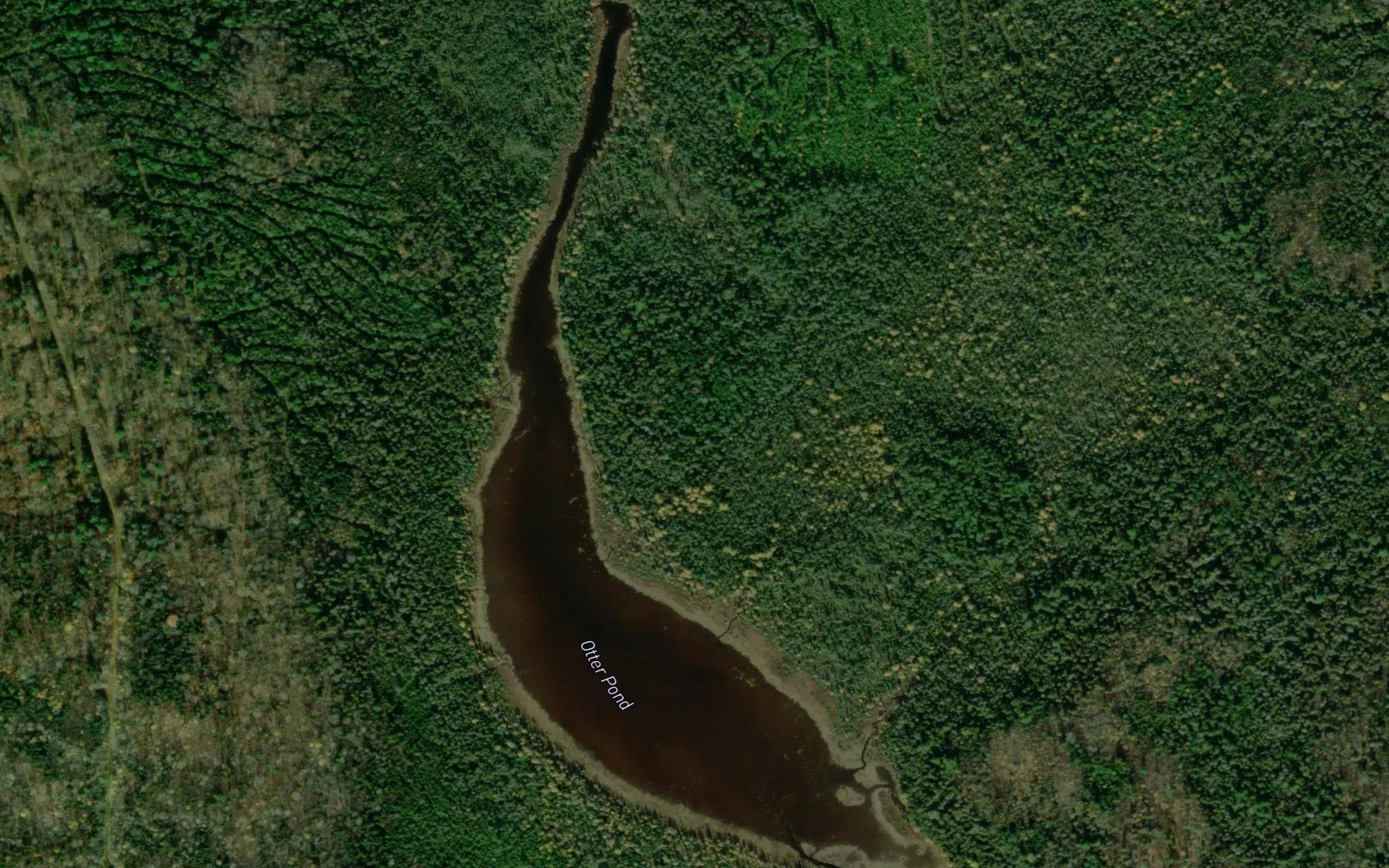Otter Pond