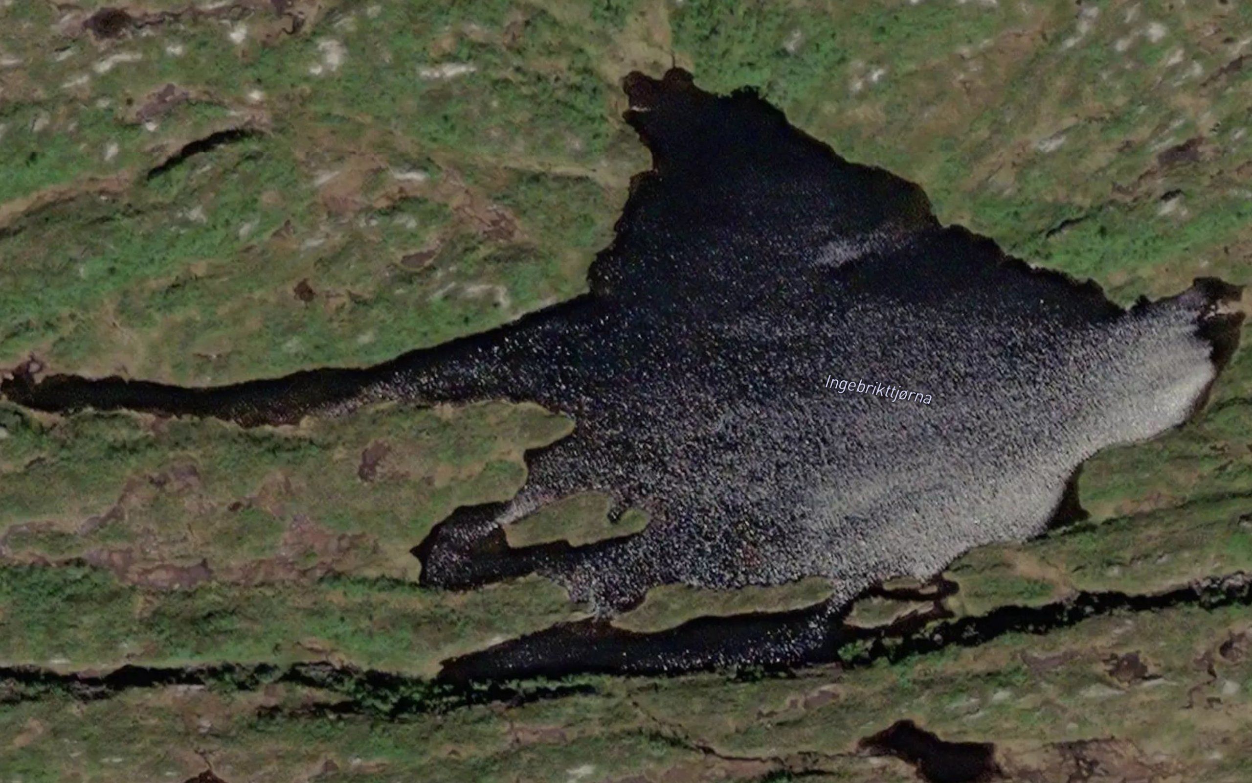 Ingebrikttjorna