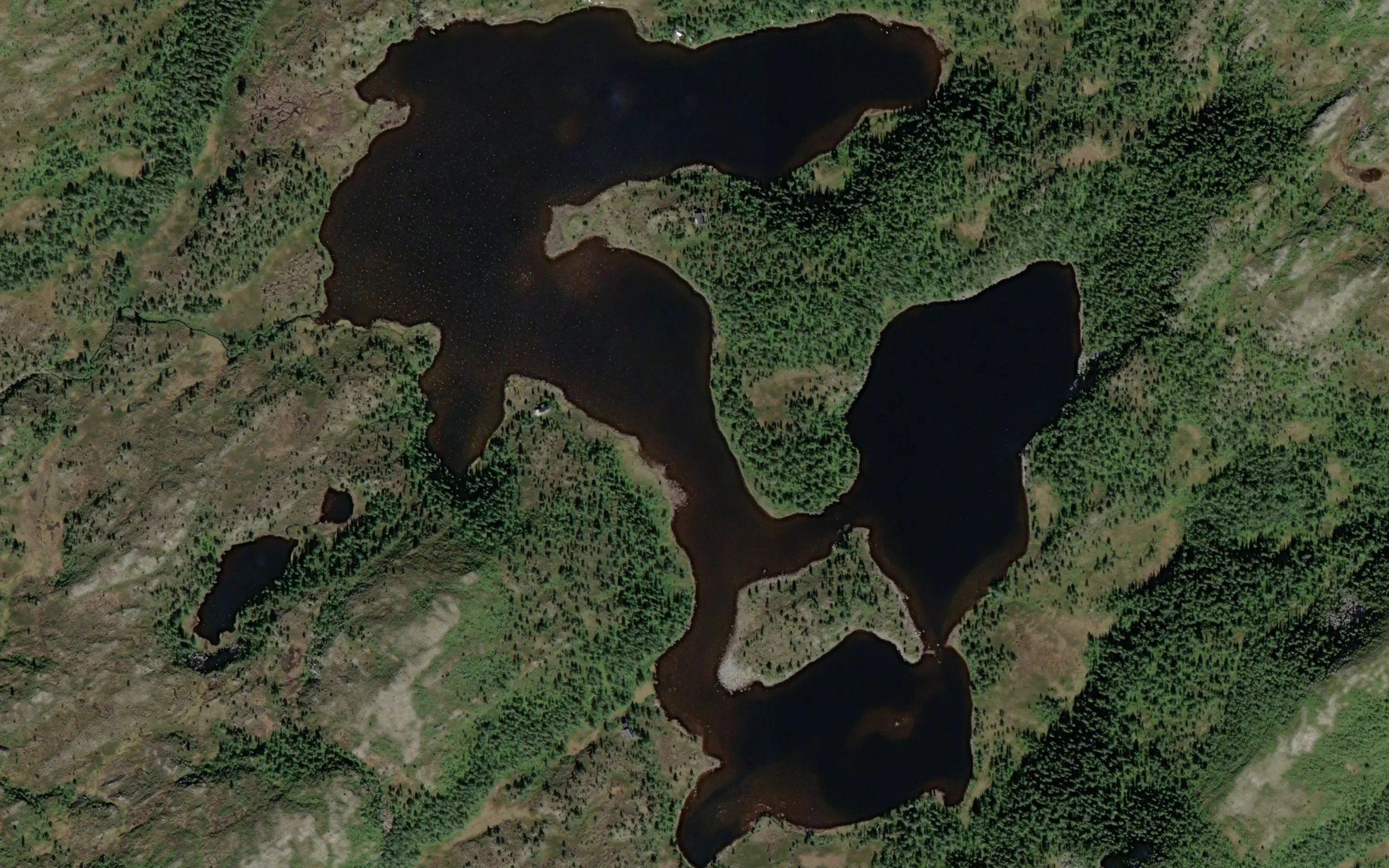 Fessdalsvatnet,nordre
