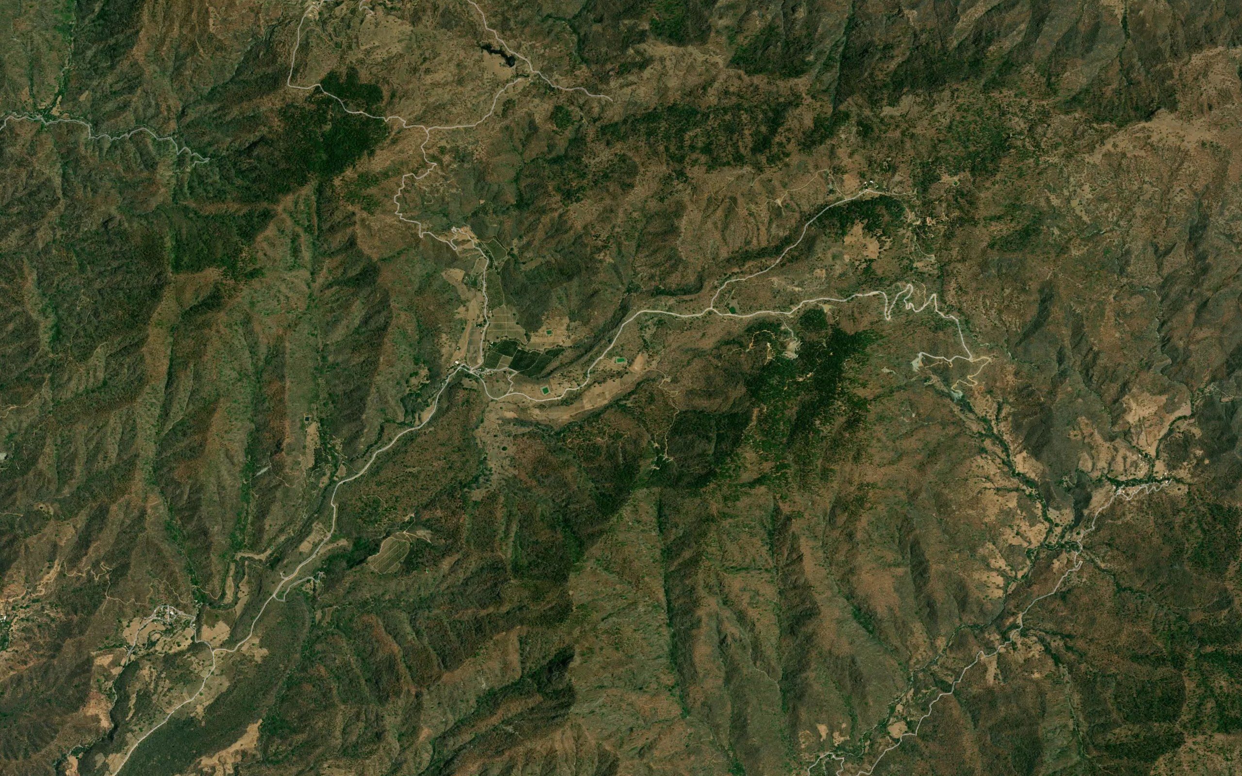 Barranca El Encinal