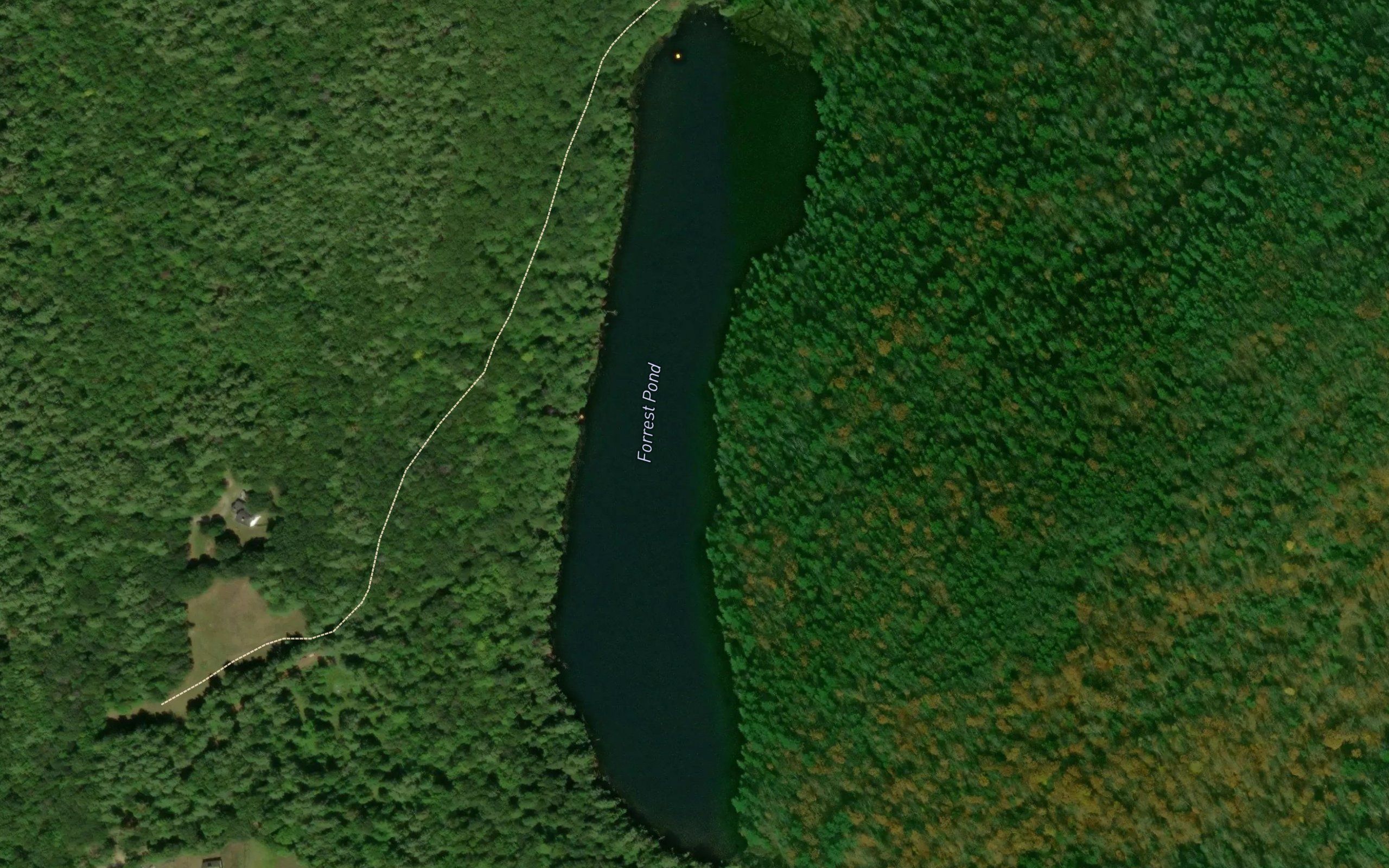 Forest Pond