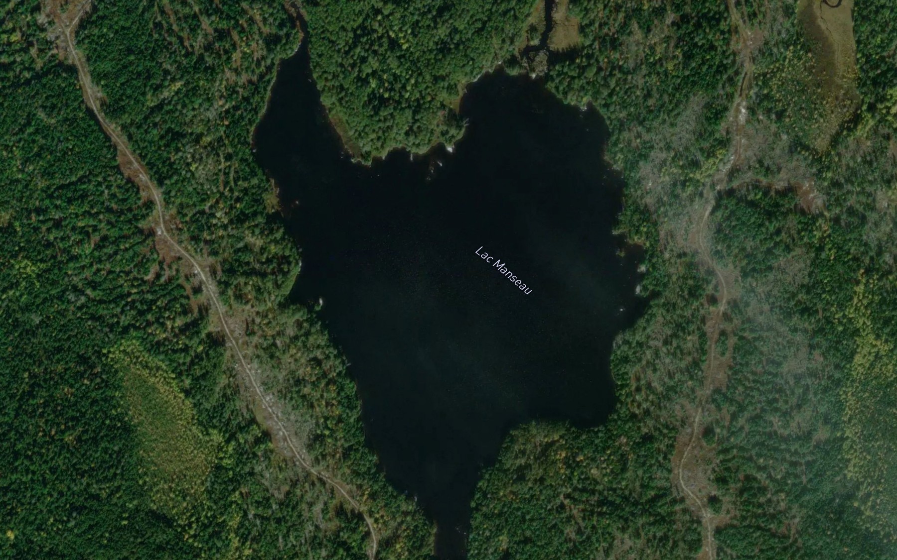 Satellite map of the Lac Manseau