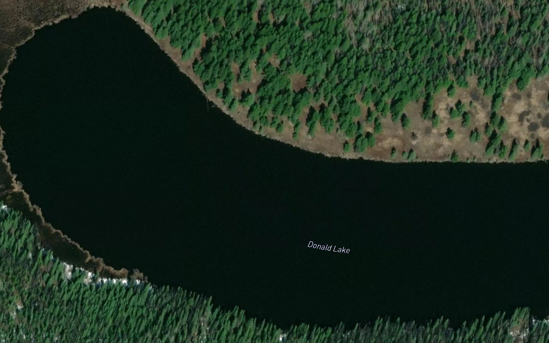 Satellite map of the Donald Lake