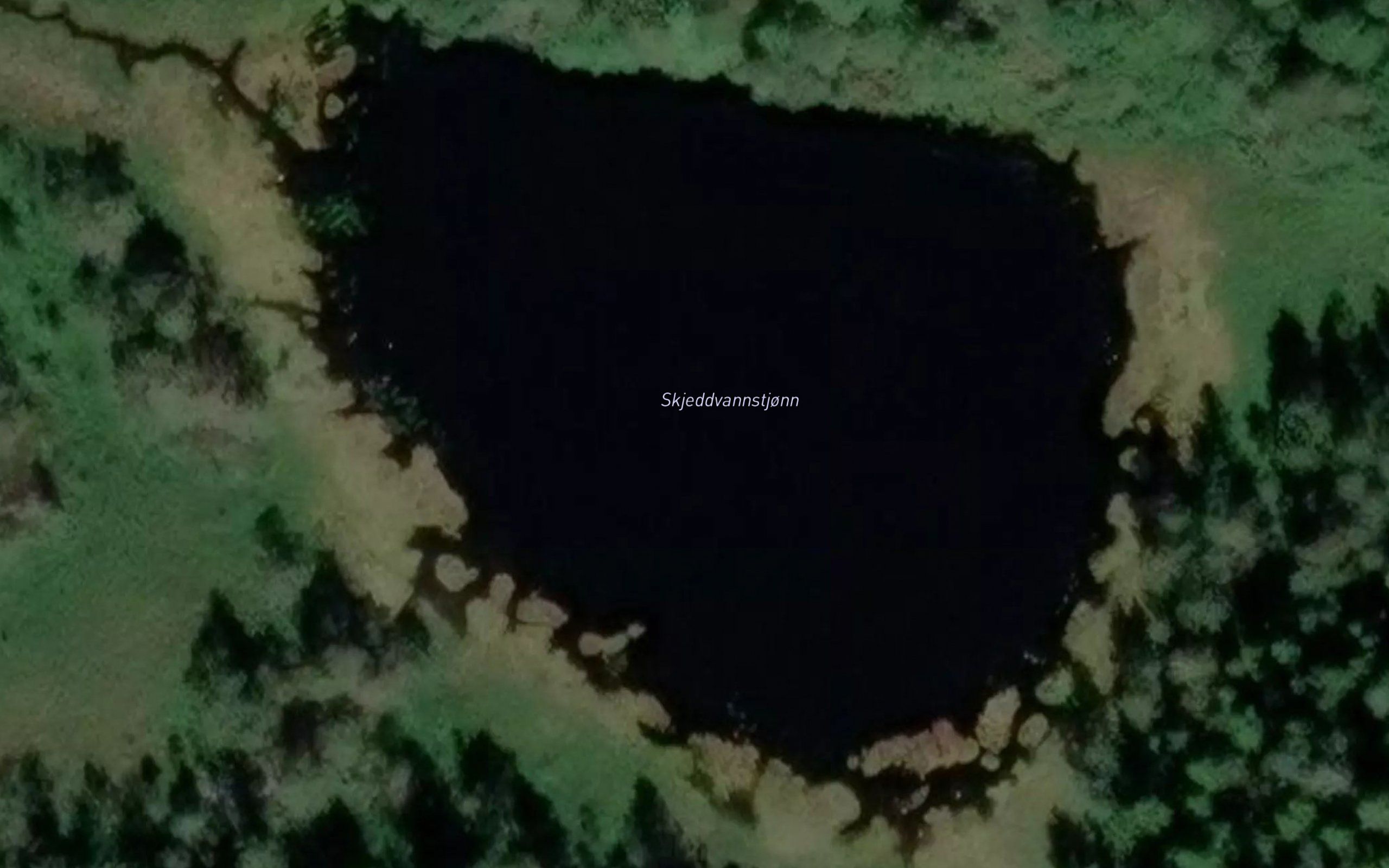 Skjeddvannstjonn