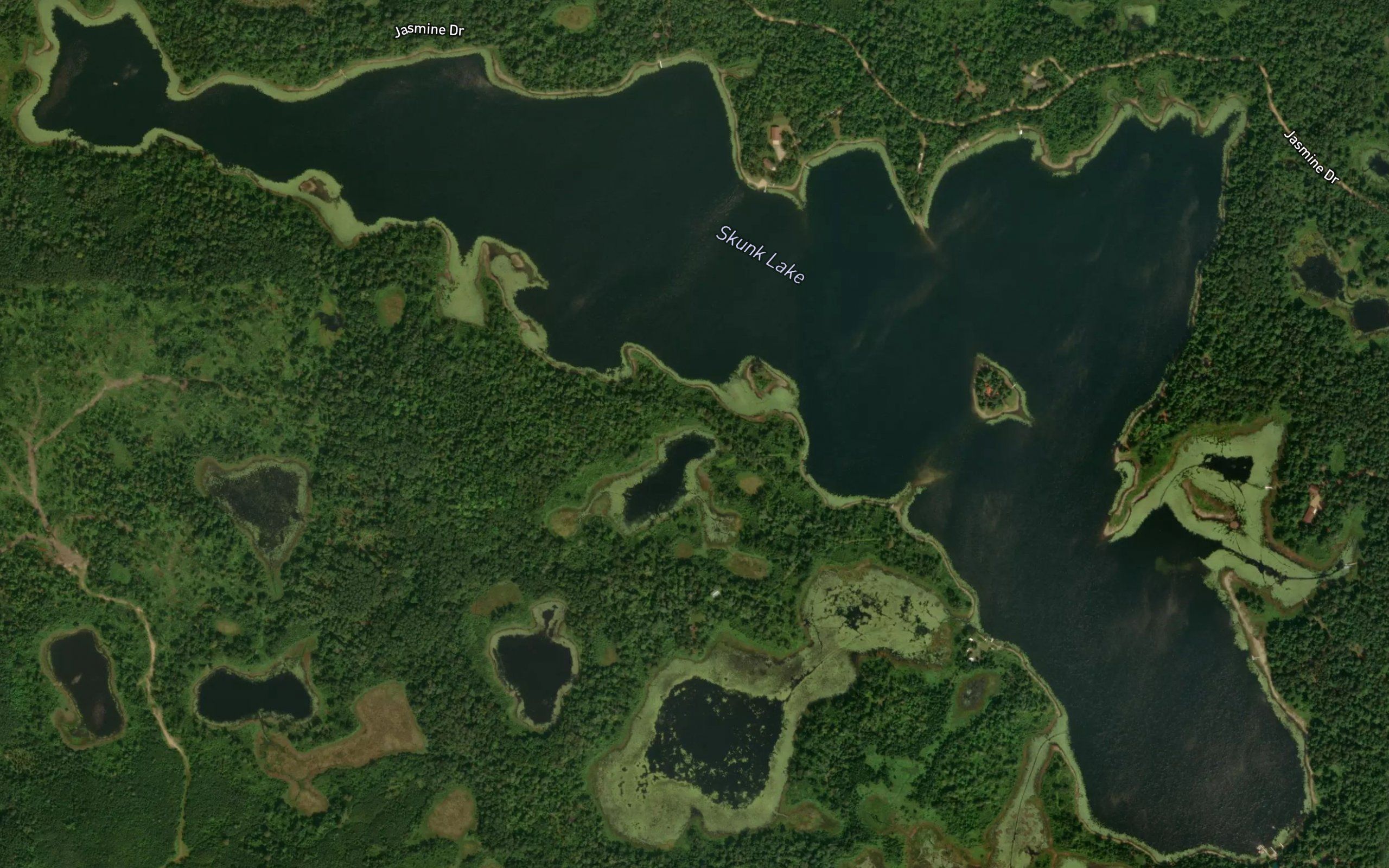 Skunk Lake