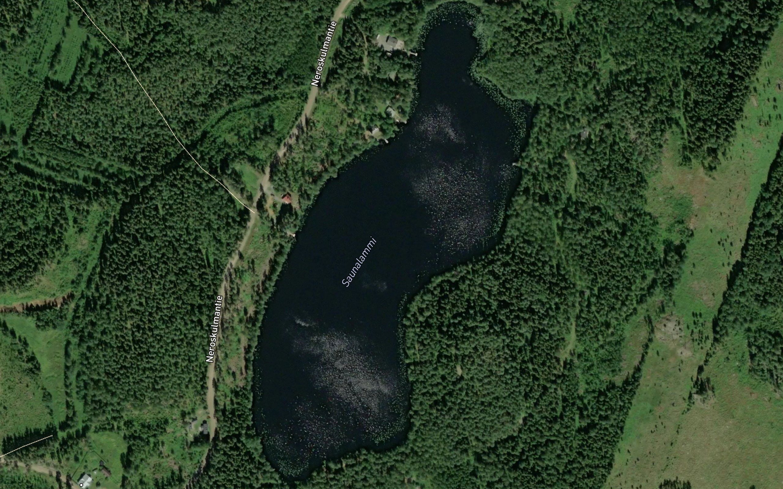 Saunalammi