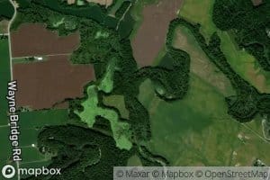 Flat Lick Creek