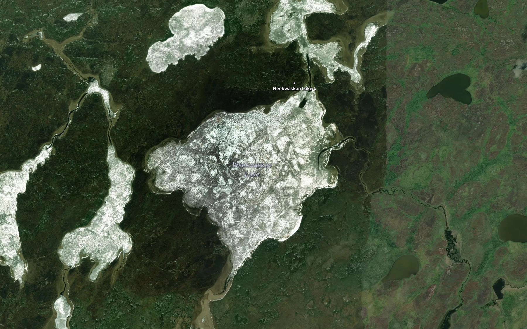 Satellite map of the Weekwaskan Lake