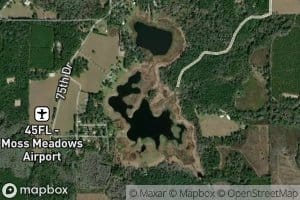 Peacock Lake