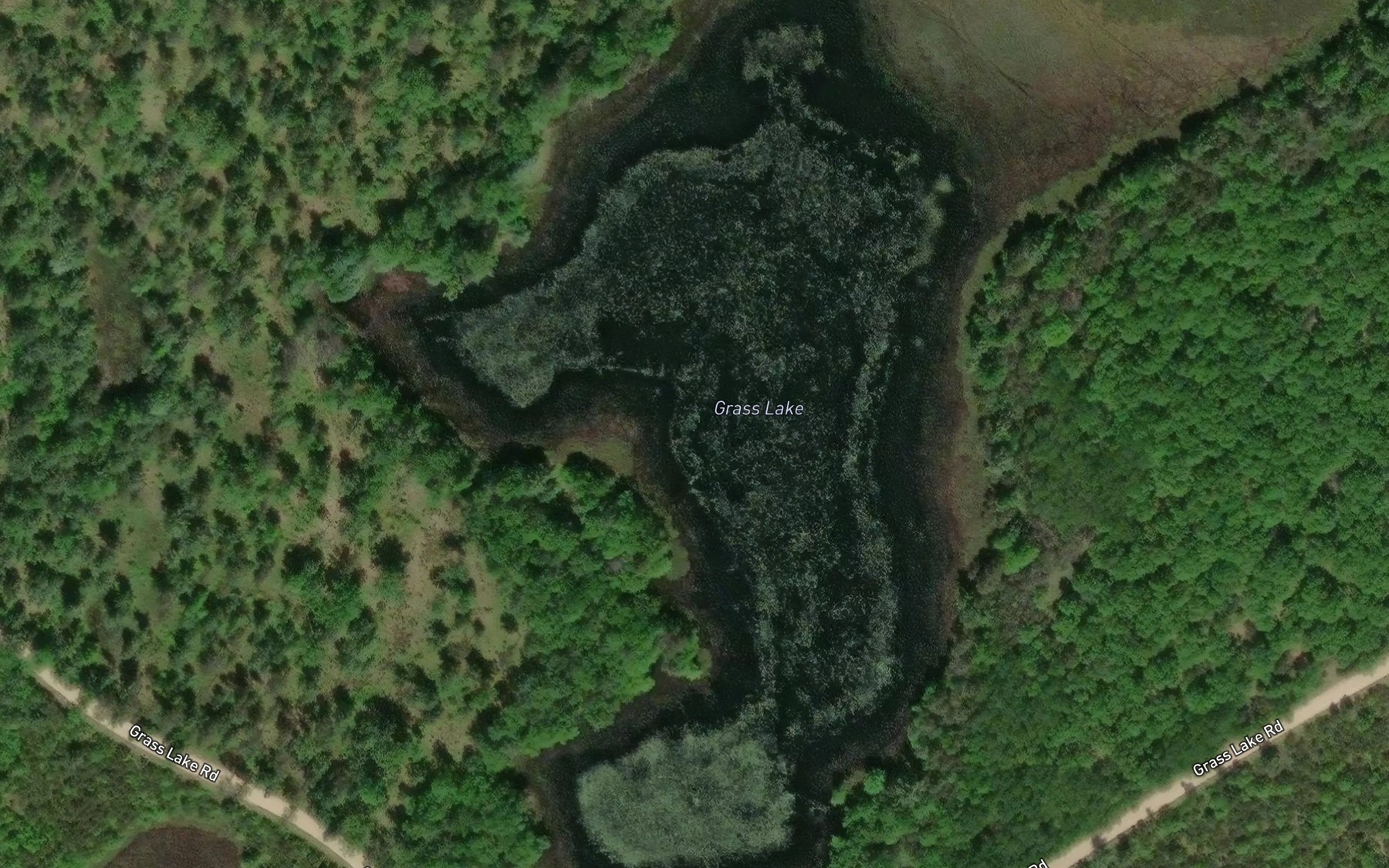 Satellite map of the Grass Lake