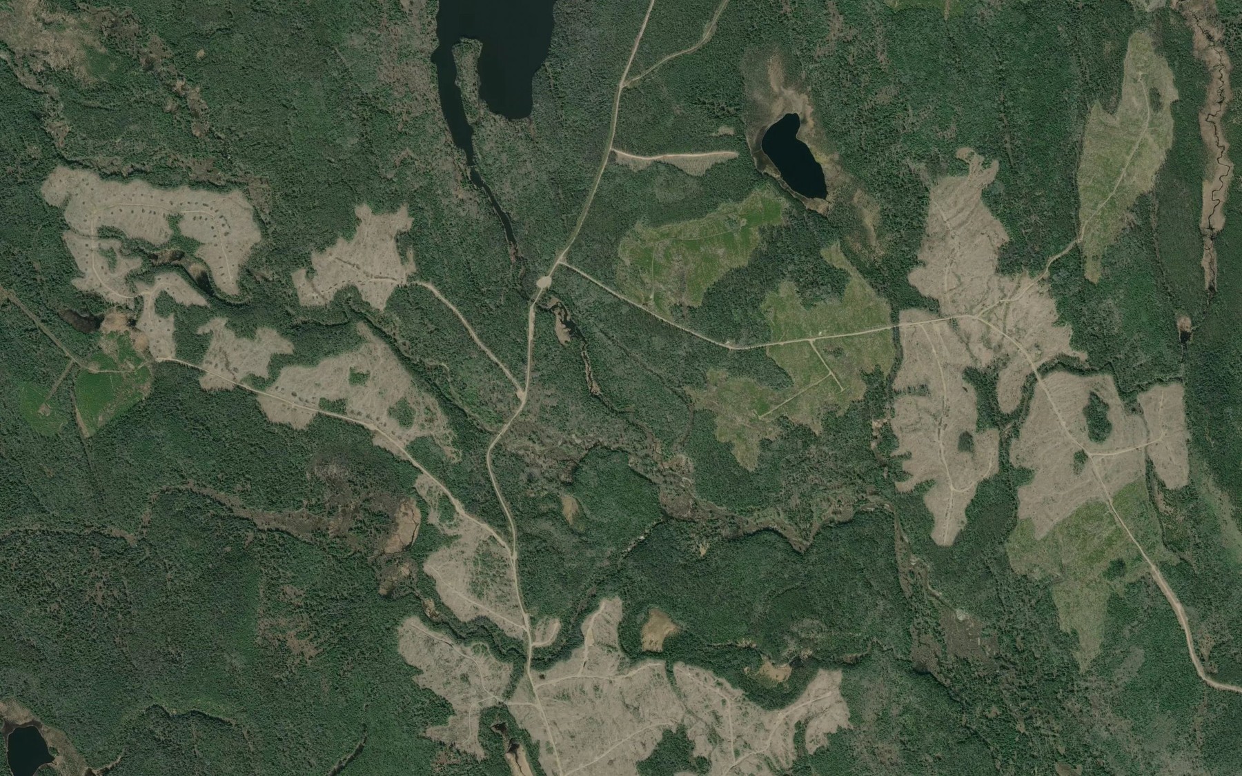 Satellite map of the Beaverdale Creek
