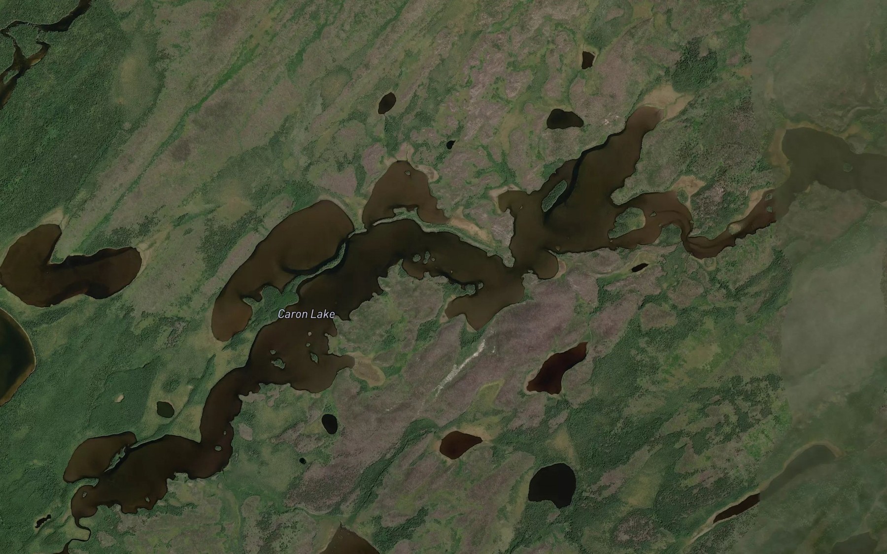 Satellite map of the Caron Lake