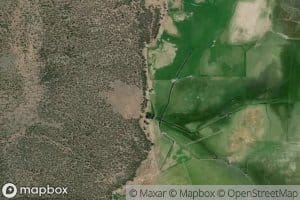 Shook Springs