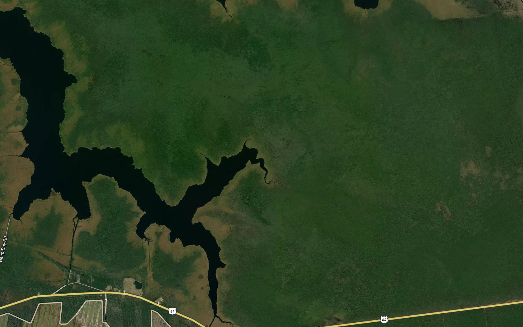 Satellite map of the Liehue Gut
