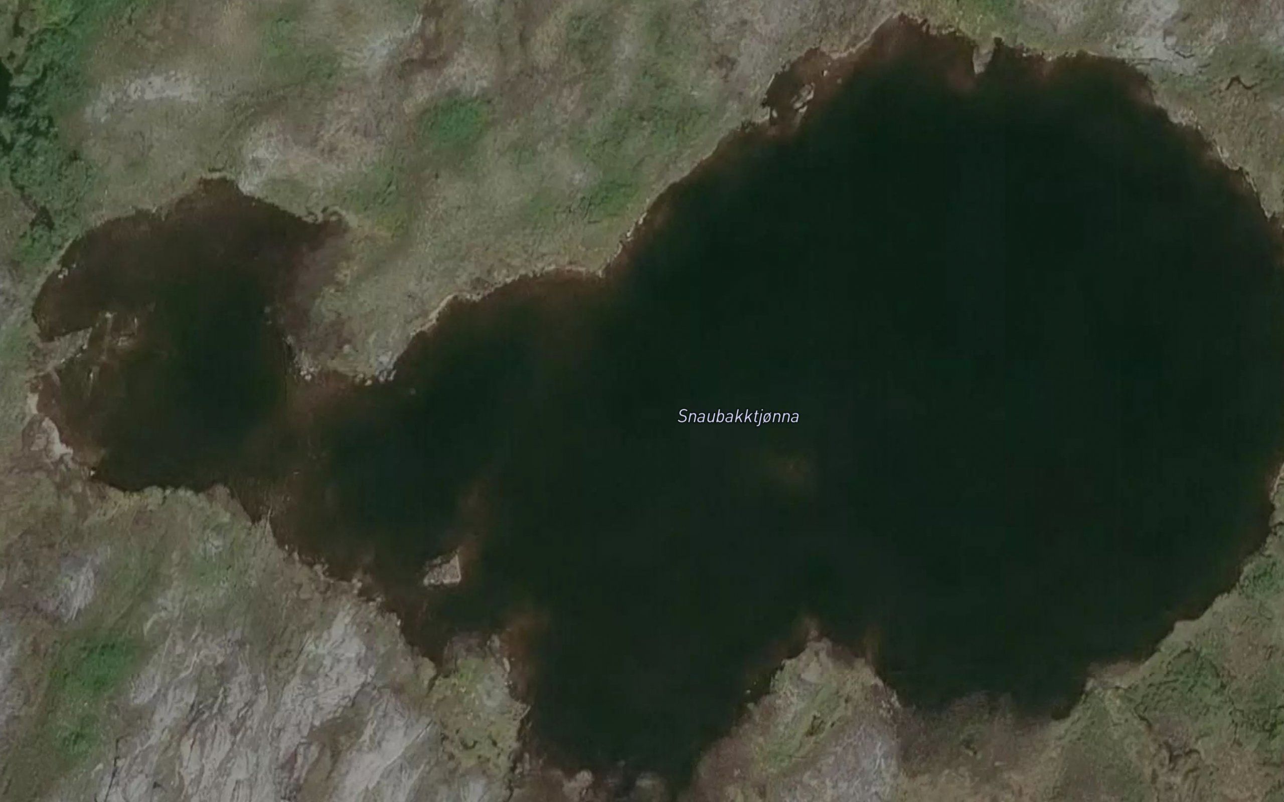 Snaubakktjorna