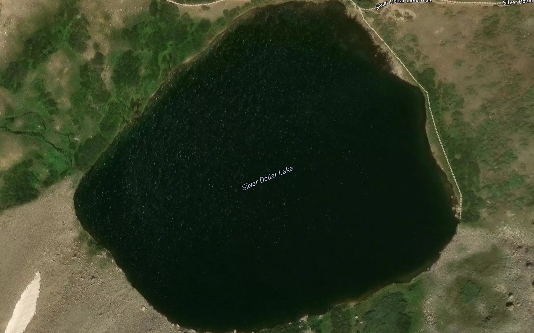 Satellite map of the Silver Dollar Lake