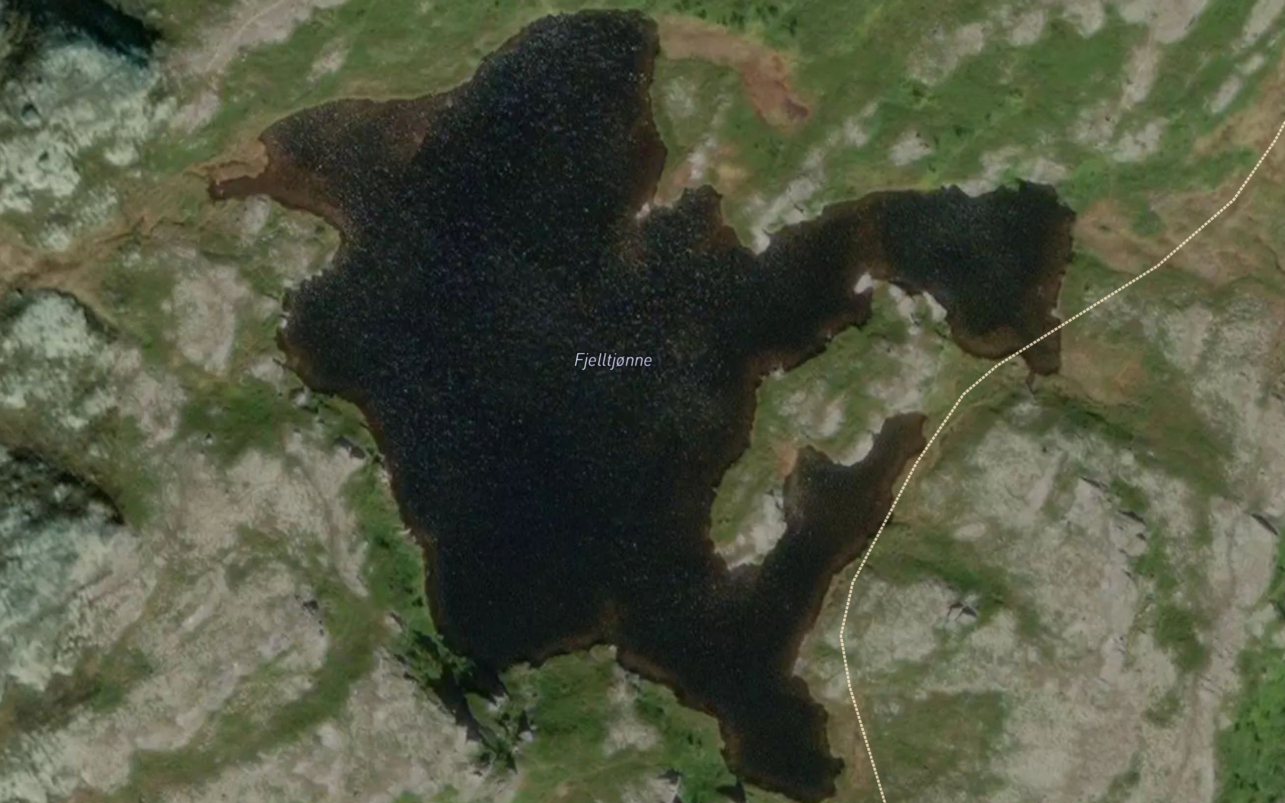 Fjelltjorni
