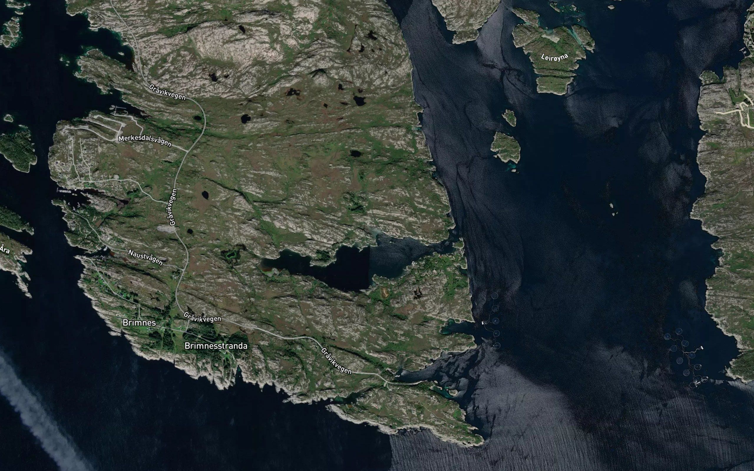 Guleskjervika