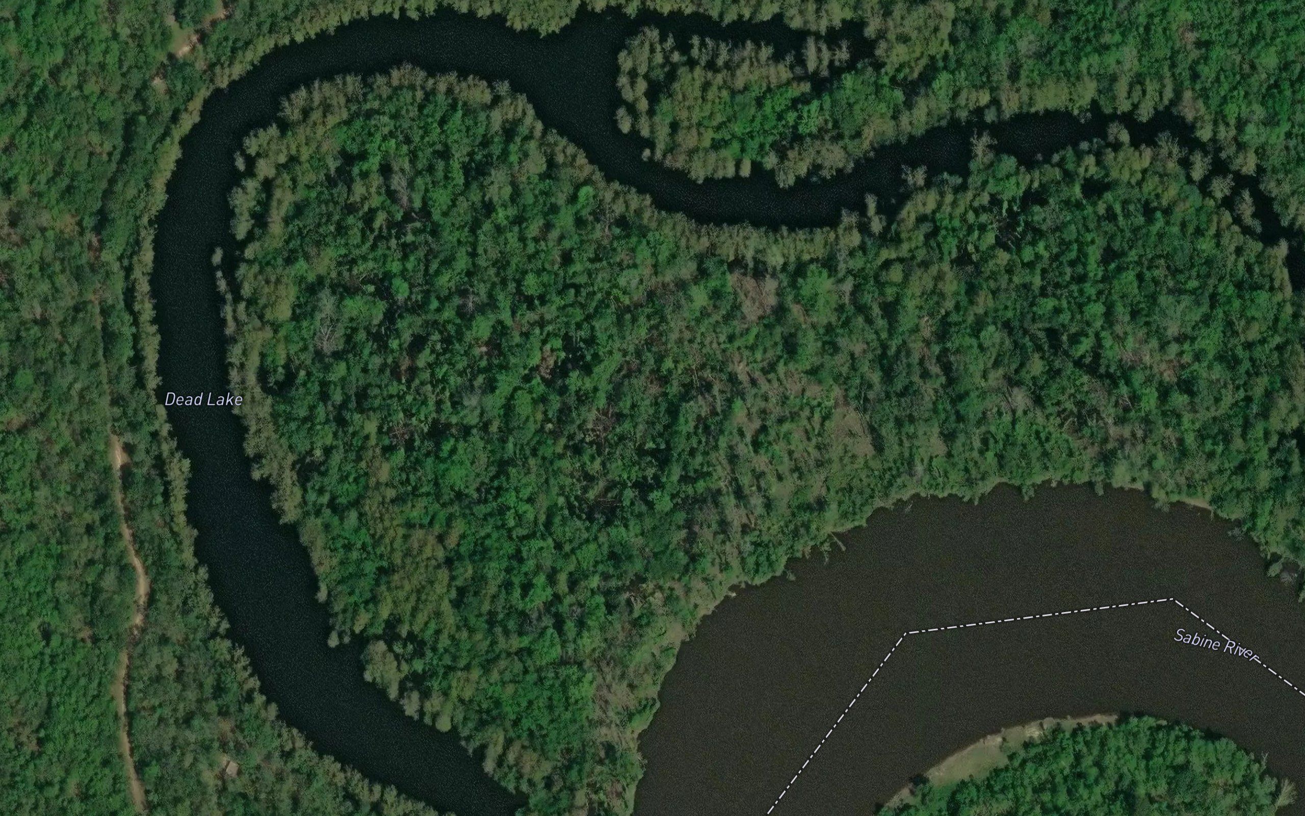Dead Lake