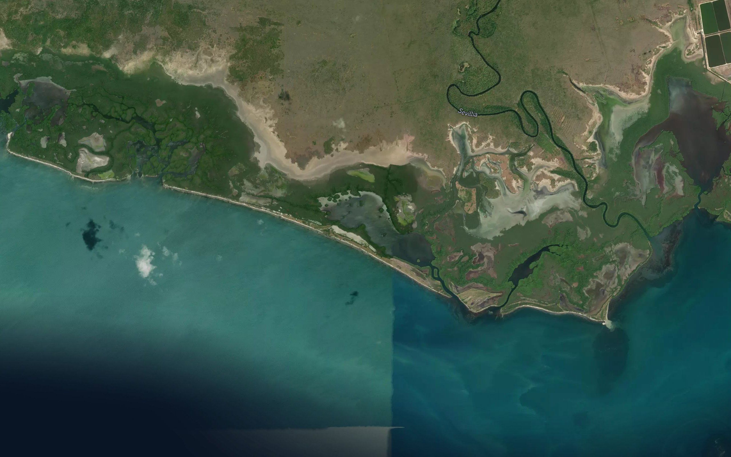 Estero Buenaventura