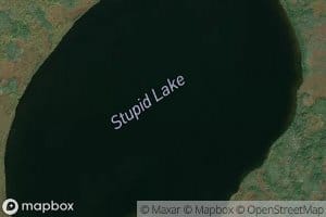 Stupid Lake