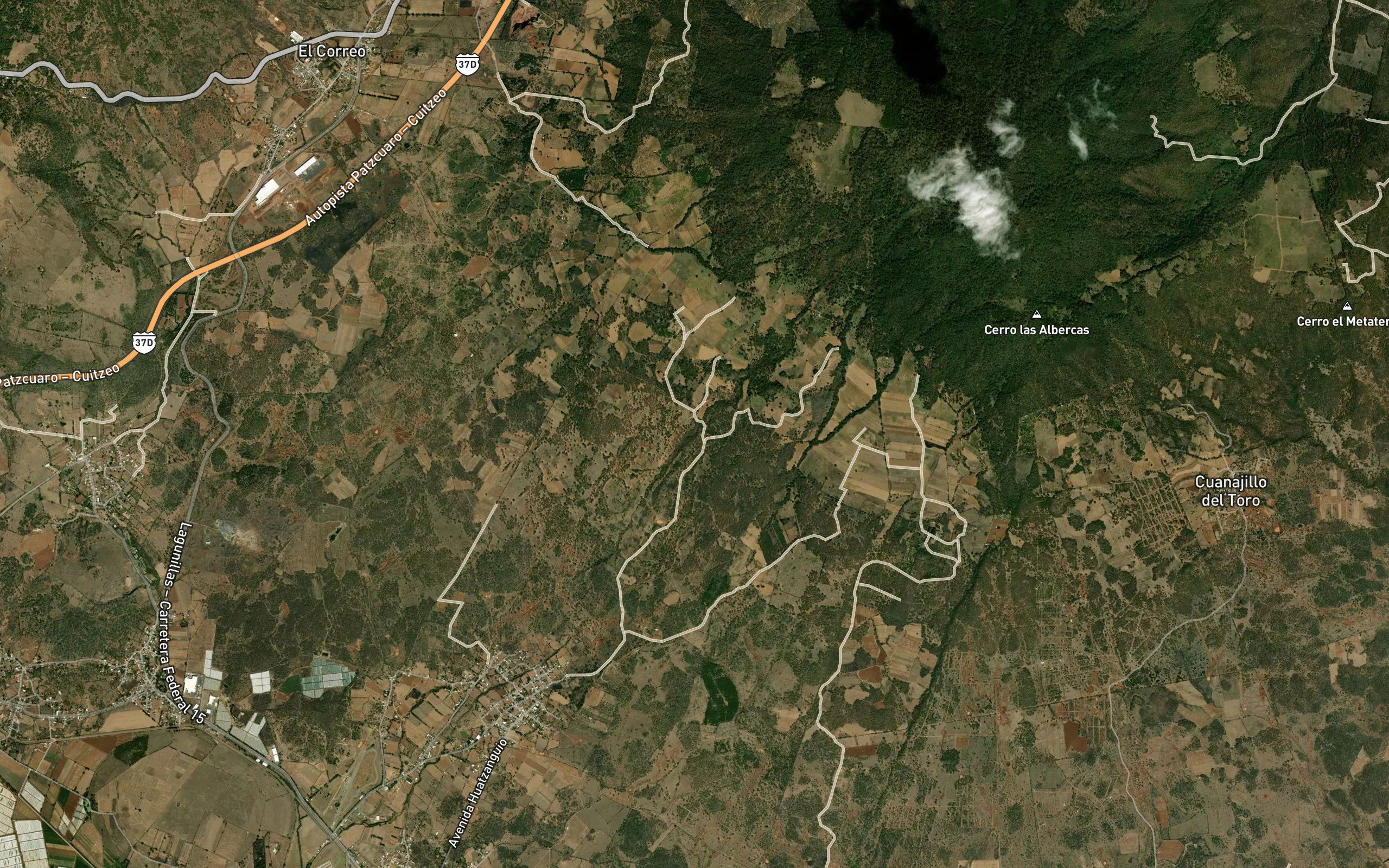 Barranca Los Gatos