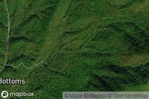 Grayback Branch