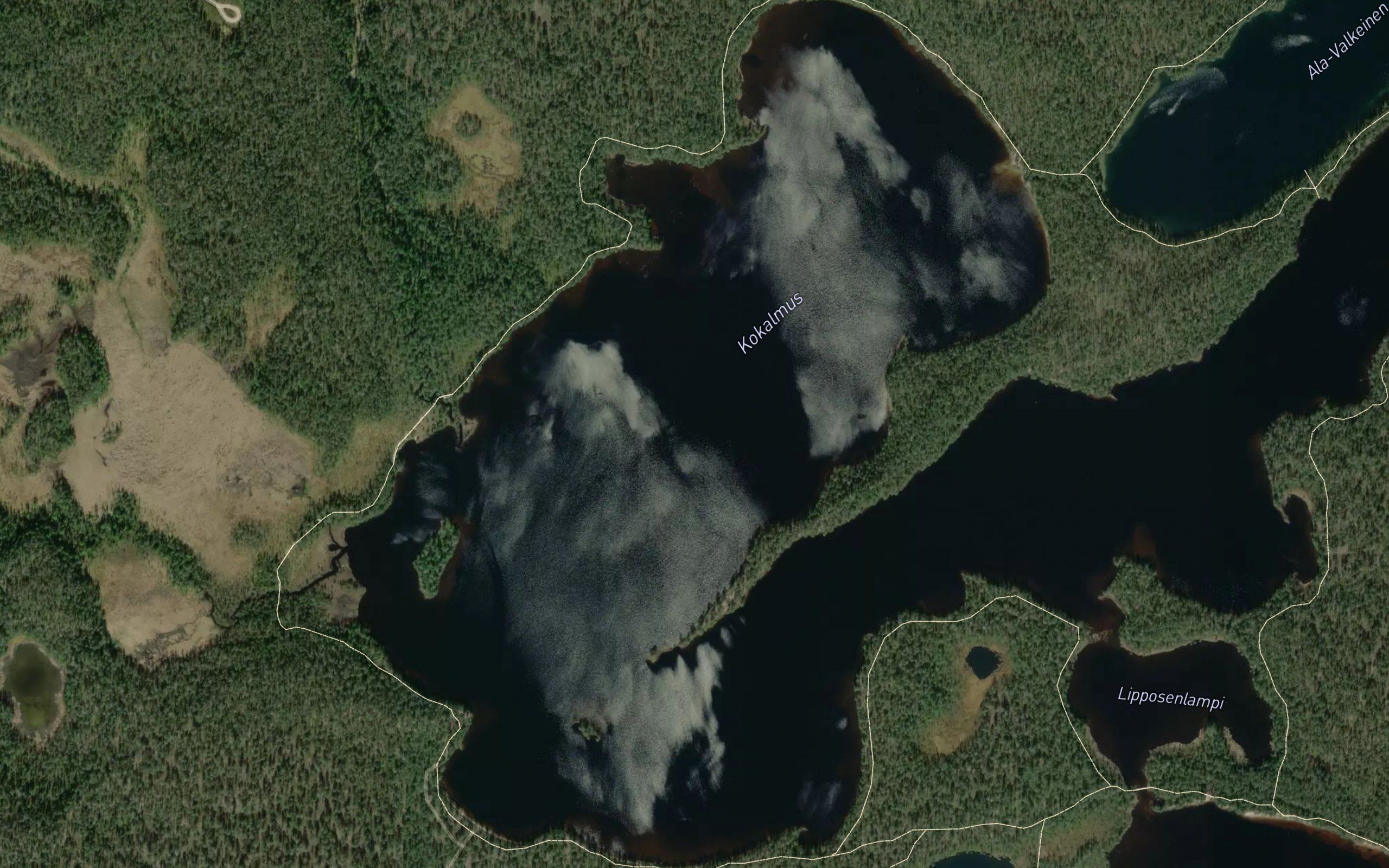 Kokalmus