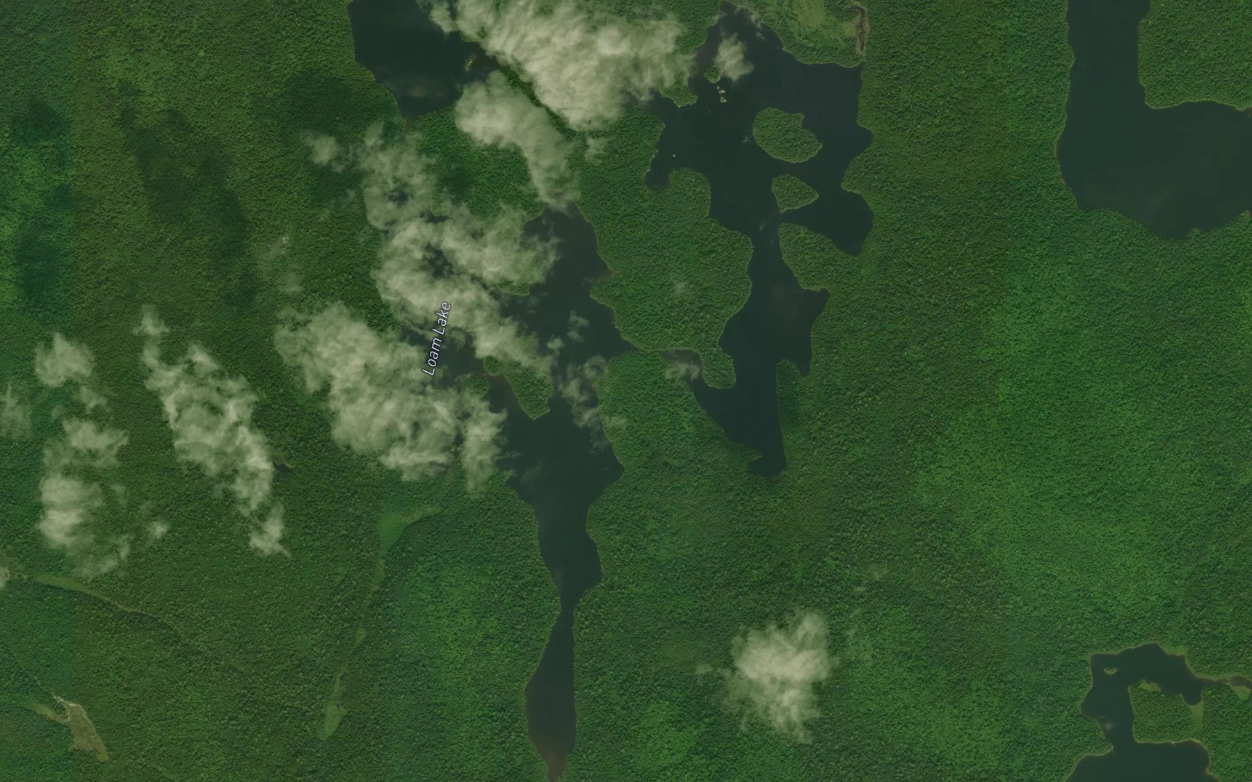 Satellite map of the Loam Lake