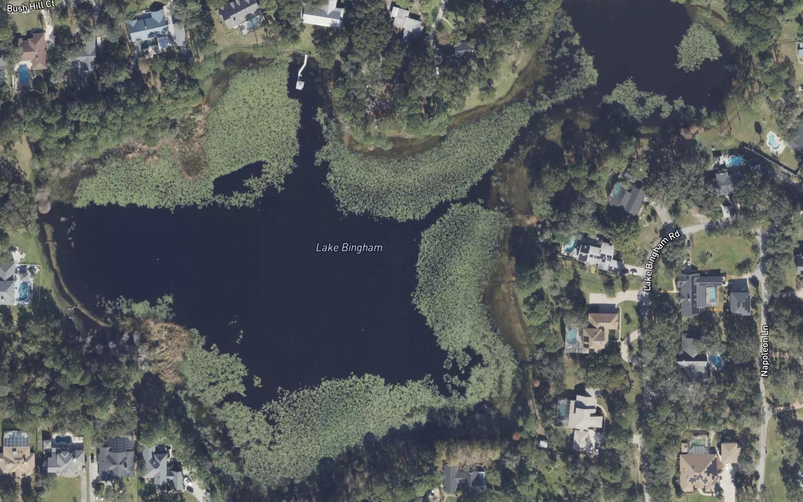 Lake Bingham
