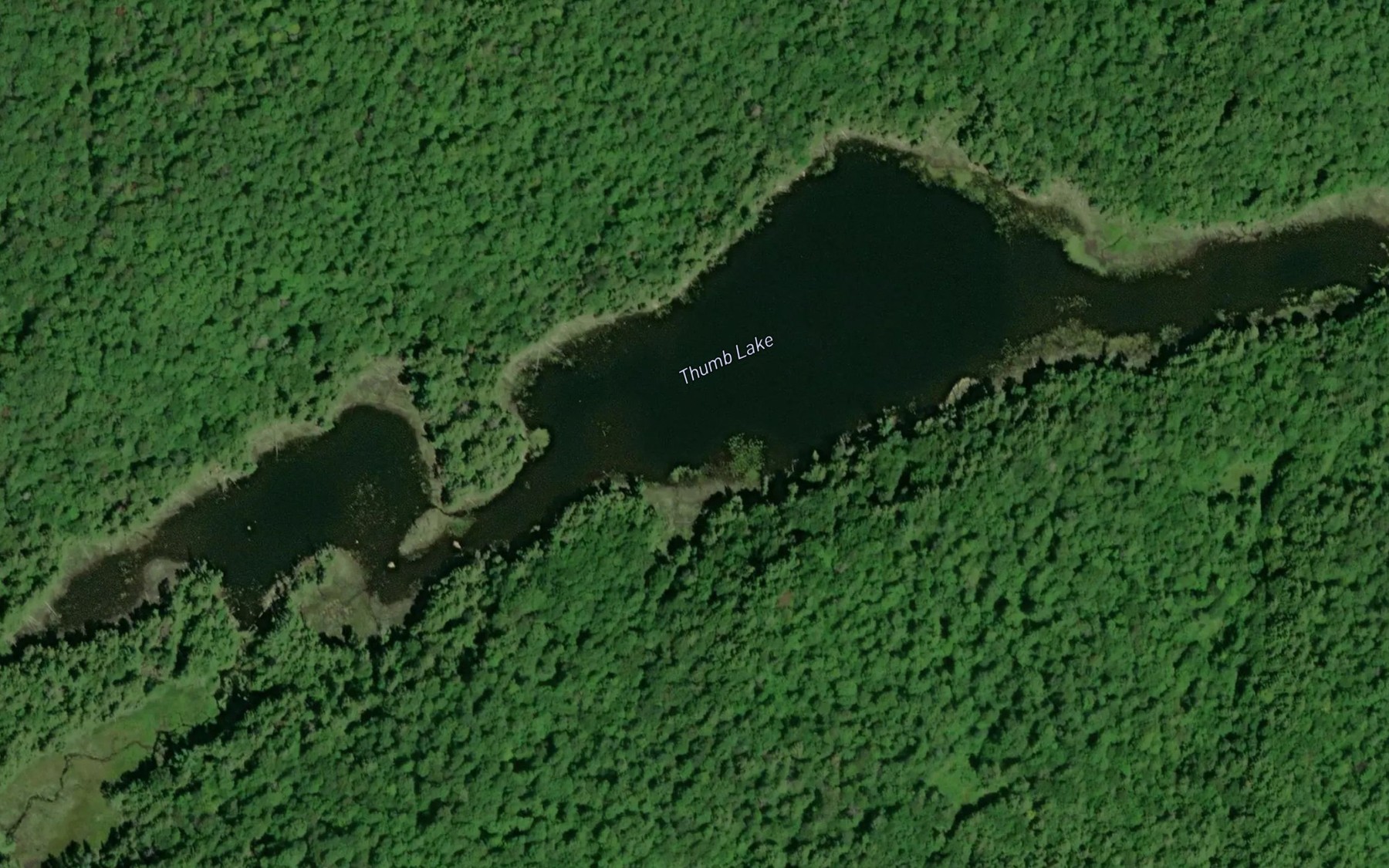 Satellite map of the Thumb Lake