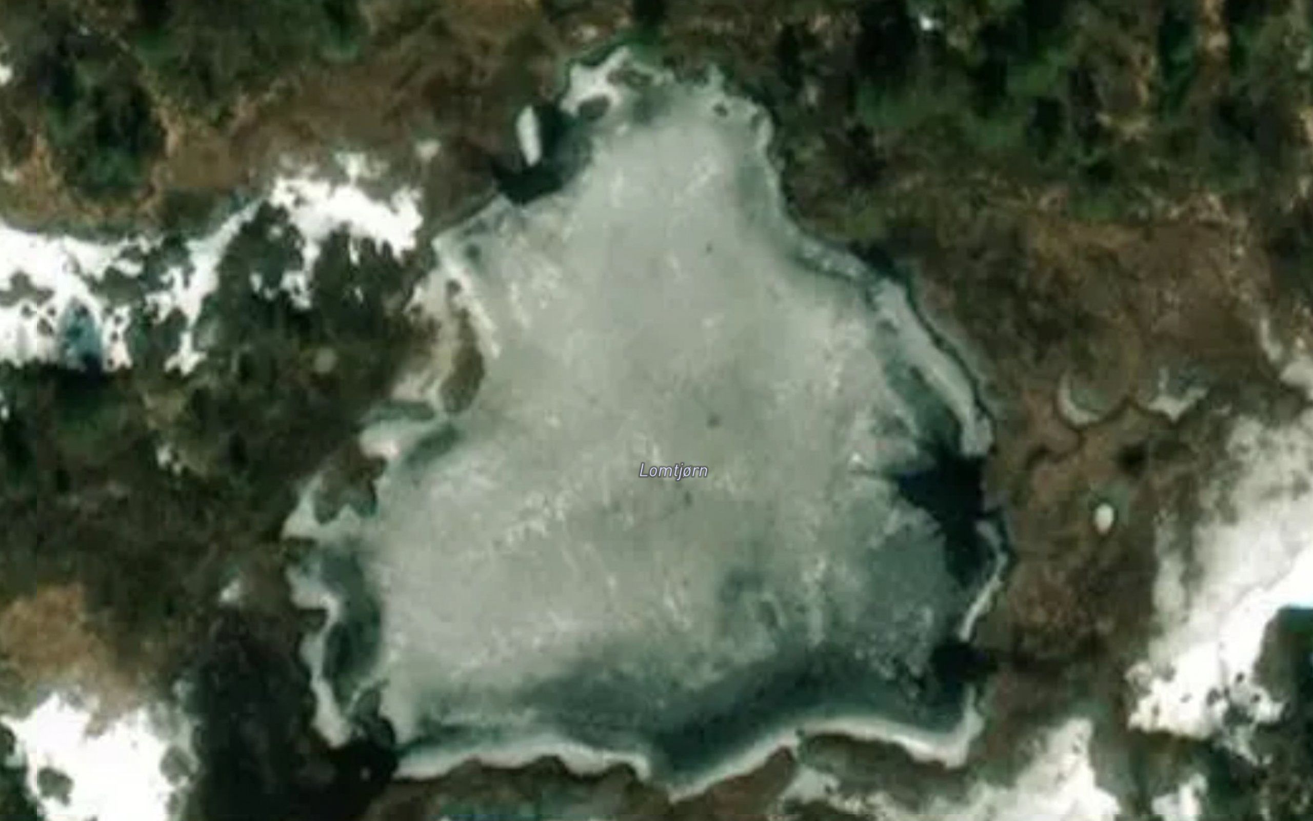 Lomtjorn